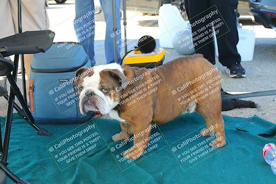 media/Oct-07-2023-Extreme Speed (Sat) [[96db232155]]/Around the Pits/